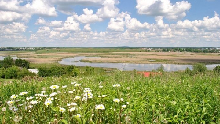 Тернопільській міськраді не дали незаконно привласнити природний заказник “Серетський”