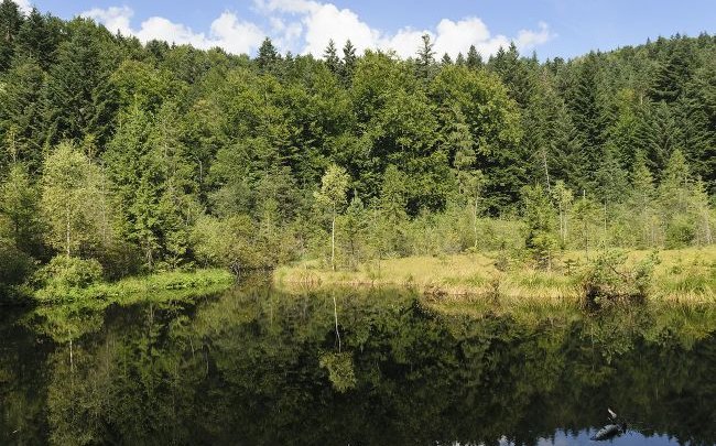 “Мертве озеро” в Карпатах: як до нього дістатися та чи вийде скупатися